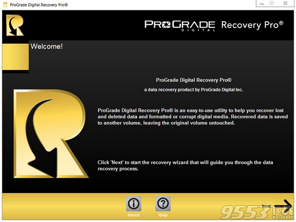 ProGrade Digital Recovery Pro破解版