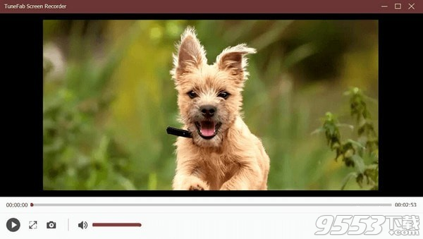 TuneFab Screen Recorder(屏幕录制软件) v2.1.26最新版