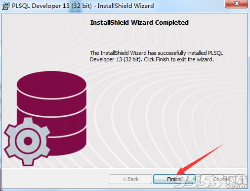 PL/SQL Developer中文版 v13.0.4.1906免费版