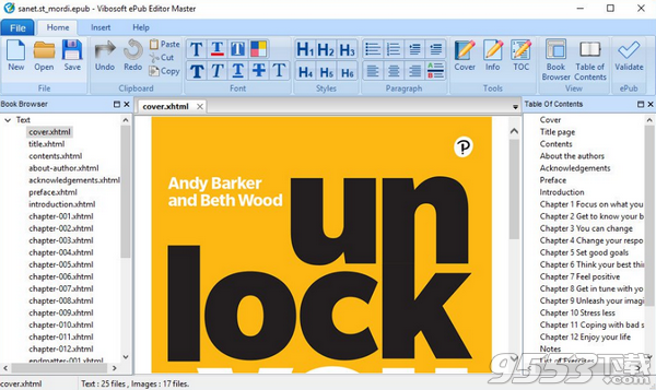 Vibosoft ePub Editor Master中文版
