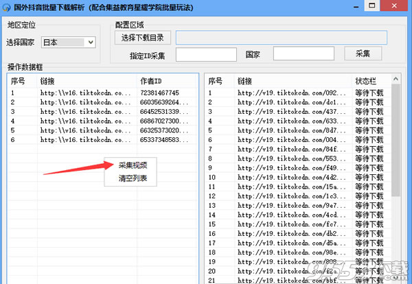 国外抖音批量下载解析工具 v1.0绿色免费版