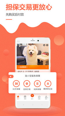 宠小宝app下载-宠小宝安卓版下载v2.0.0图2
