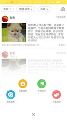 宠物领养app下载-宠物领养安卓版下载v1.1.26图2