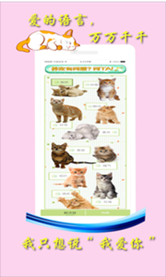 米族人猫交流器软件截图3