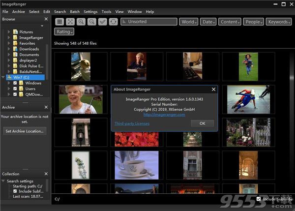 ImageRanger Pro破解版