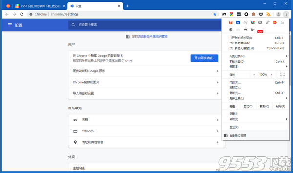 RunningCheese Chrome v1.2019.06.08绿色便携版