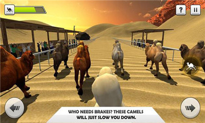 野骆驼的赛车模拟器安卓版截图1