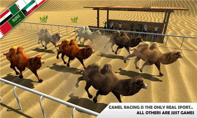 野骆驼的赛车模拟器安卓版截图2