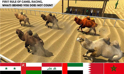 野骆驼的赛车模拟器手游下载-野骆驼的赛车模拟器安卓版下载v1.0.3图3