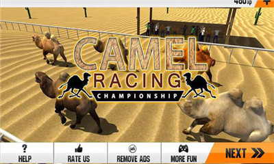 野骆驼的赛车模拟器安卓版截图4