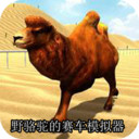 野骆驼的赛车模拟器安卓版