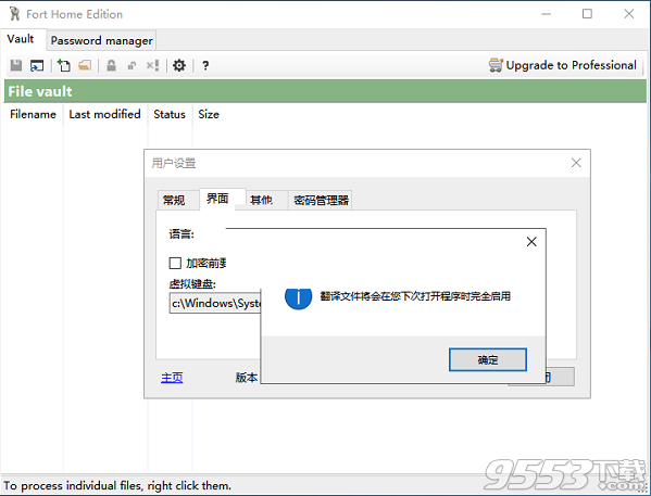 Fort Professional Edition(文件加密工具) v4.1.0.0绿色版