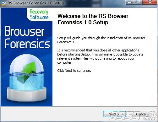 RS Browser Forensics(浏览器记录恢复软件)