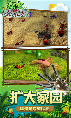 探索昆虫世界安卓版截图2
