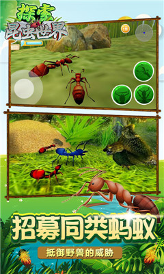 探索昆虫世界安卓版截图3