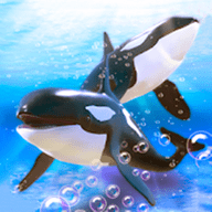 鲸鱼生存大作战游戏手机版