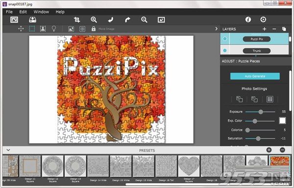 PuzziPix Pro(照片拼图效果制作软件)