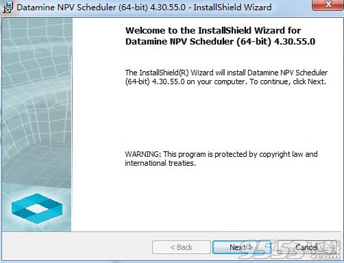 Datamine NPV Scheduler