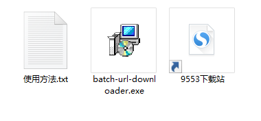 Batch URL Downloader(URL批量下载软件)