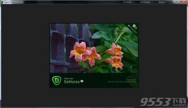 Topaz DeNoise AI(AI图片降噪软件)