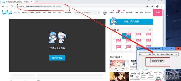 哔哩哔哩会员内容试看工具 v1.0