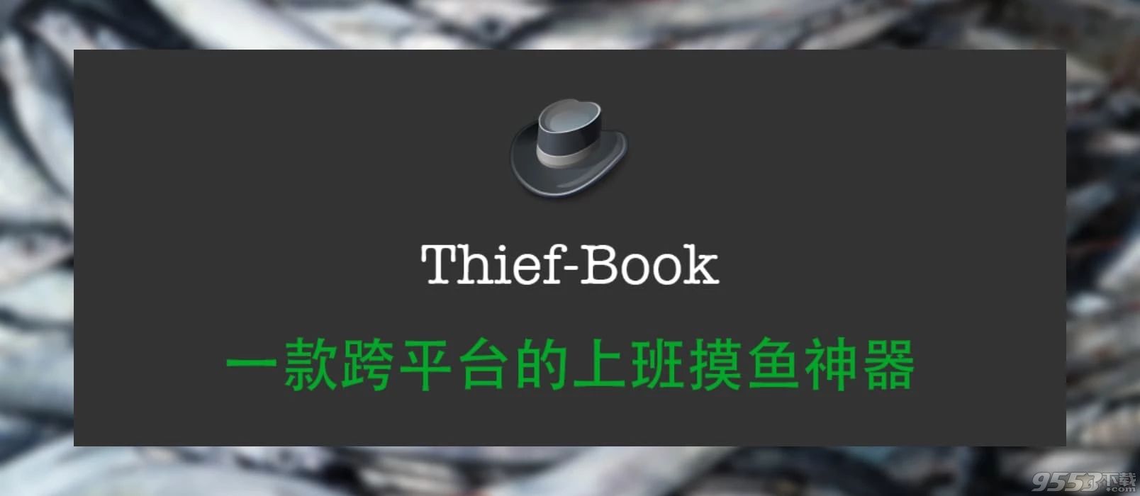 Thief book v3.0 最新版