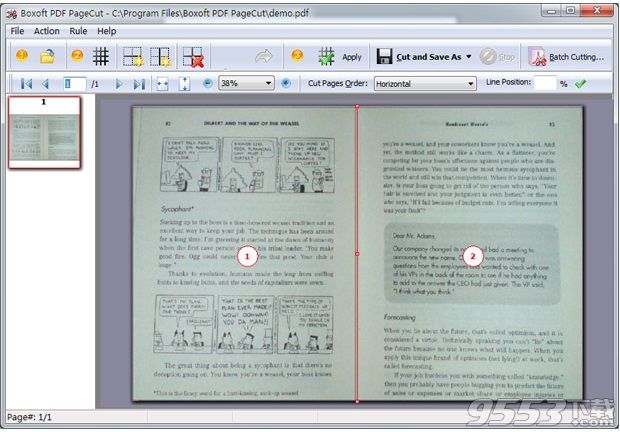 Boxoft PDF PageCut(PDF切割工具)