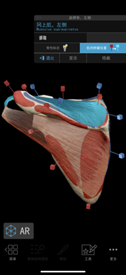 2020人体解剖学图谱app下载-人体解剖学图谱2020最新版下载v3.4.5图2