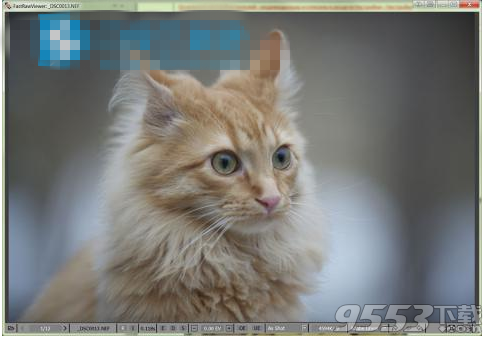 FastRawViewer(图片查看工具) v1.5.4.1553 最新版