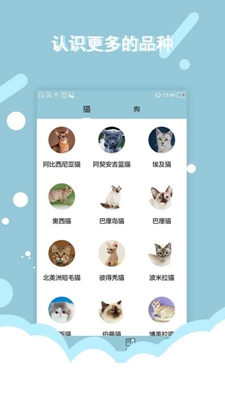 猫语狗语交流器app下载-猫语狗语交流器手机版下载v1.0.4图2