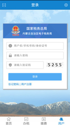 内蒙古电子税务局网上申报系统