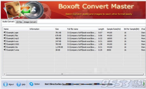 Boxoft Converter Master