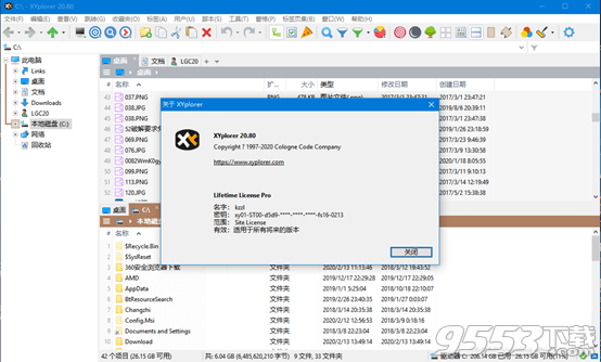 XYPlorer Pro v23.90.0000 永久激活便携版