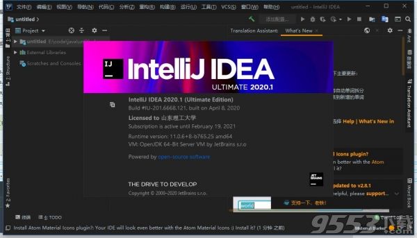 IntelliJ IDEA v2020.1旗舰版