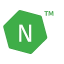 Nessus v8.10 绿色版 