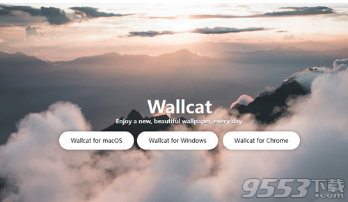 WallCat(壁纸猫)