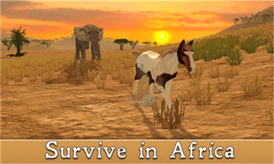 非洲马模拟器安卓版截图2