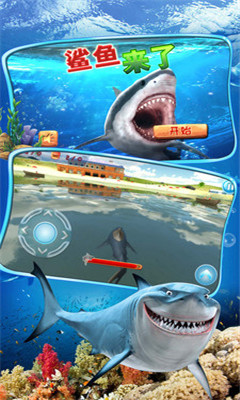 鲨鱼来了游戏下载-鲨鱼来了安卓版下载v1.1图1