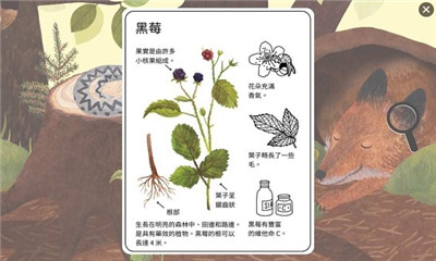 小棕鼠的自然生态百科手游下载-小棕鼠的自然生态百科安卓版下载v1.0.6图2