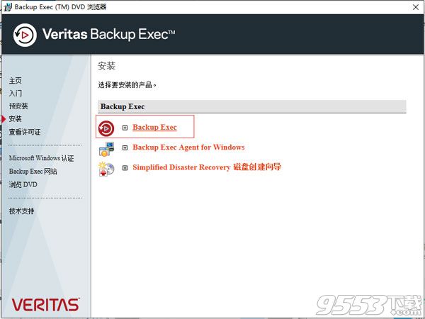 Veritas Backup Exec