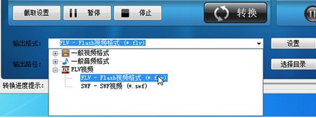 顶峰FLV视频转换器