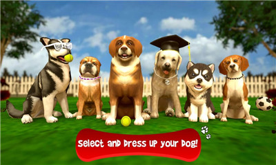 虚拟小狗模拟器下载-虚拟小狗模拟器游戏下载v1.1图2