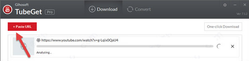 Gihosoft TubeGet Pro