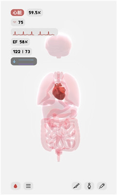 生命人体模拟器下载-生命人体模拟器手机版下载v1.0图4