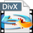 4Easysoft Blu-ray to DivX Ripper(视频转换器) v3.1.30