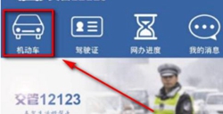 最新版交管12123app