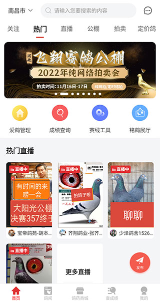 赛鸽头条app免费下载飞扬苹果版-赛鸽头条2022最新版下载v2.5.1图3