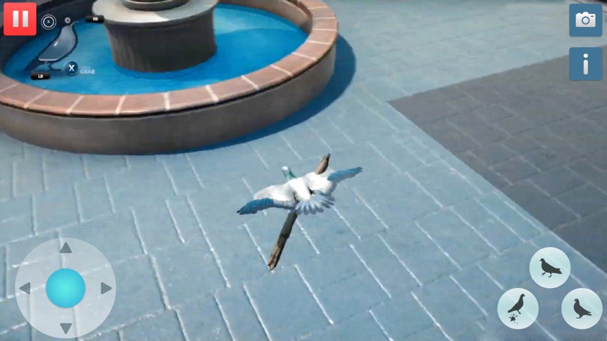 饥饿的鸽子模拟器苹果版下载-饥饿的鸽子模拟器游戏下载v1.0图2