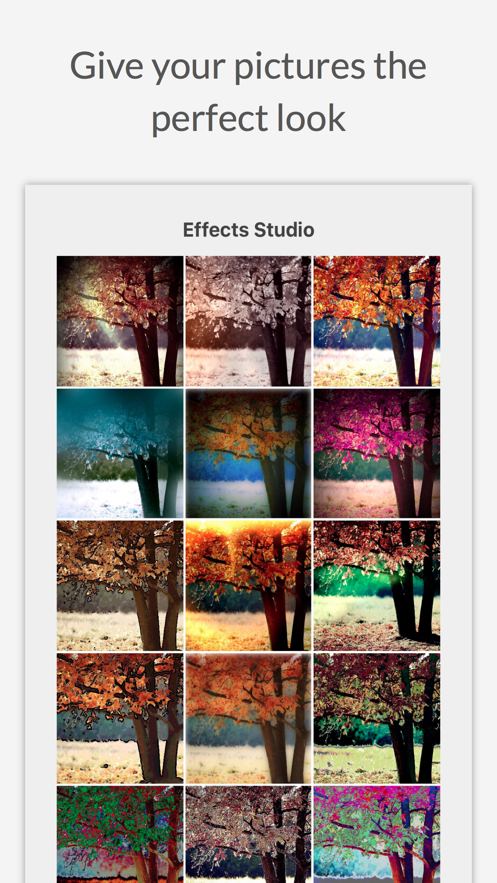 Effects Studio苹果版APP下载-Effects Studio官方版下载v4.4.5图1