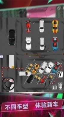 驾考模拟停车达人游戏截图2